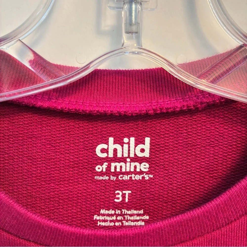 Carter's Child Of Mine Girl's Long Sleeve Pink Top Ruffle Detail Size 3T New